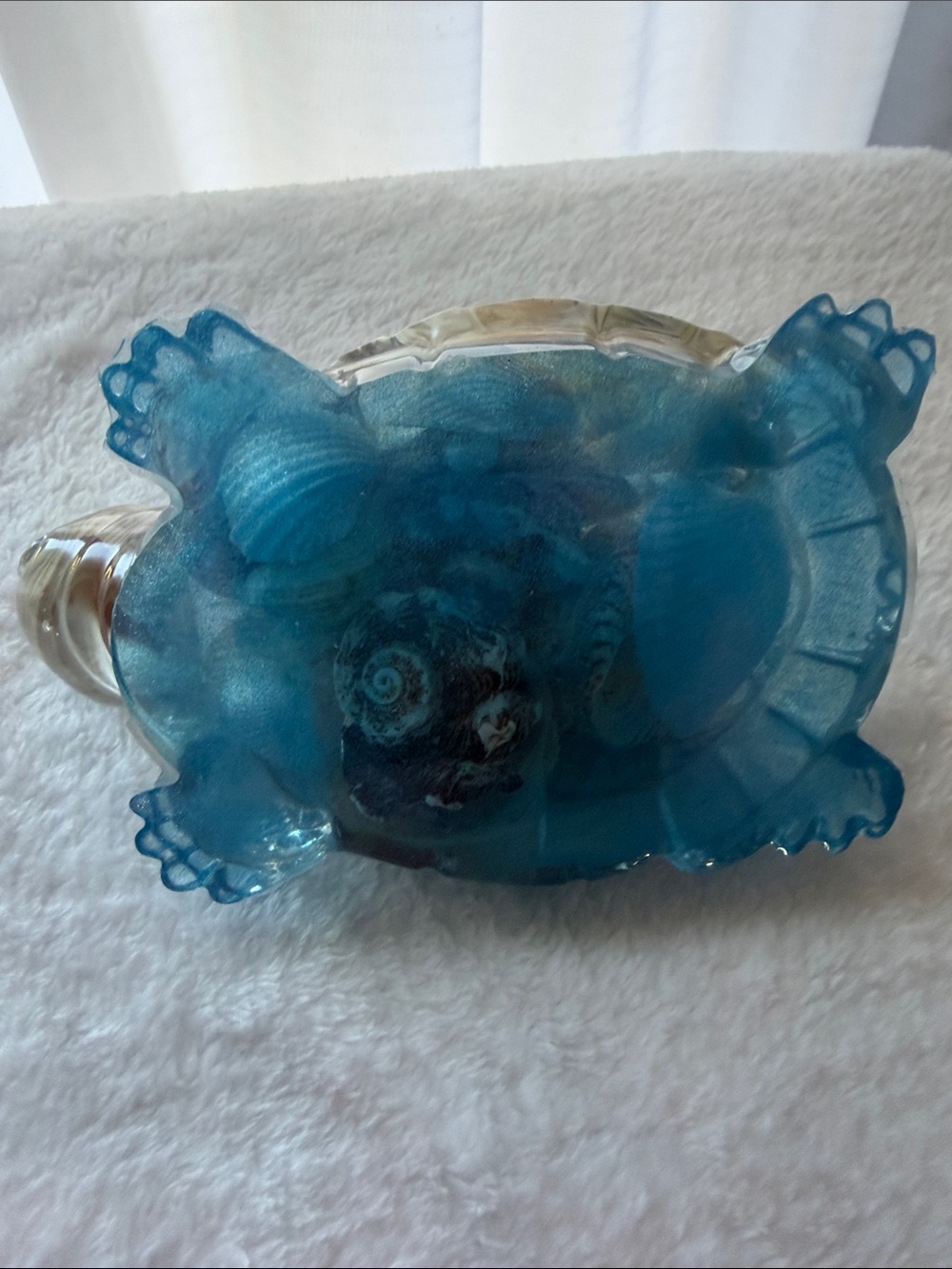 Handmade Turtle & Shells with Blue Base - Picture 4 of 5